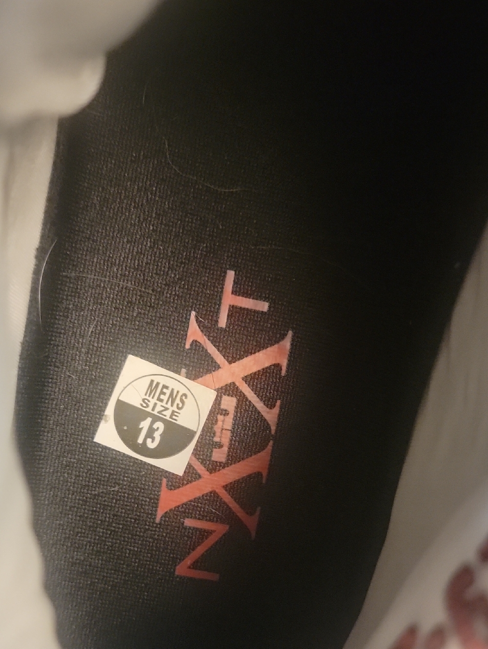 Labron James Shoe First Game - Picture 3 of 5
